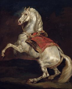 Napoleons Hengst, Tamerlan